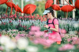 BIB: 
                            <button type="button" onclick="openModal(25935346)" class="btn btn-primary btn-sm float-right btn-popup" data-toggle="modal" data-target=".modal-high-quality">
                        <i class="fas fa-shopping-cart"></i> Add to Cart
                    </button>
                                            <button type="button" onclick="isThisMe(25935346, true)" class="btn btn-success btn-sm float-right btn-popup btn-isme hidden" data-toggle="tooltip" data-placement="bottom" title="นี่คือรูปของคุณใช่ไหม คลิกที่นี่เพื่อเอาเข้าอัลบั้ม">
                        <i class="fas fa-plus"></i> Add to album
                    </button>
                    <button type="button" onclick="isThisMe(25935346, false)" class="btn btn-warning btn-sm float-right btn-popup btn-isnotme hidden">
                        <i class="fas fa-ban"></i> Remove from album
                    </button>